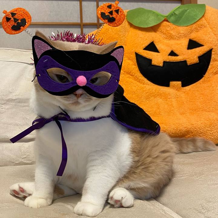 72e029e3 8d9e 4478 9fc2 1e72bd800eee 1604114745117