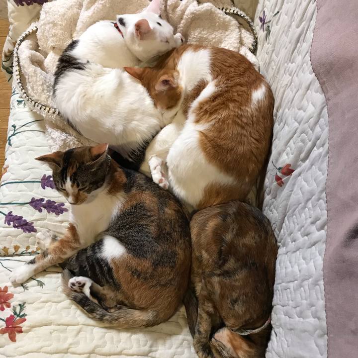 72e08ab0 dd59 4314 b0d1 04dd3fd59661 1610871762502