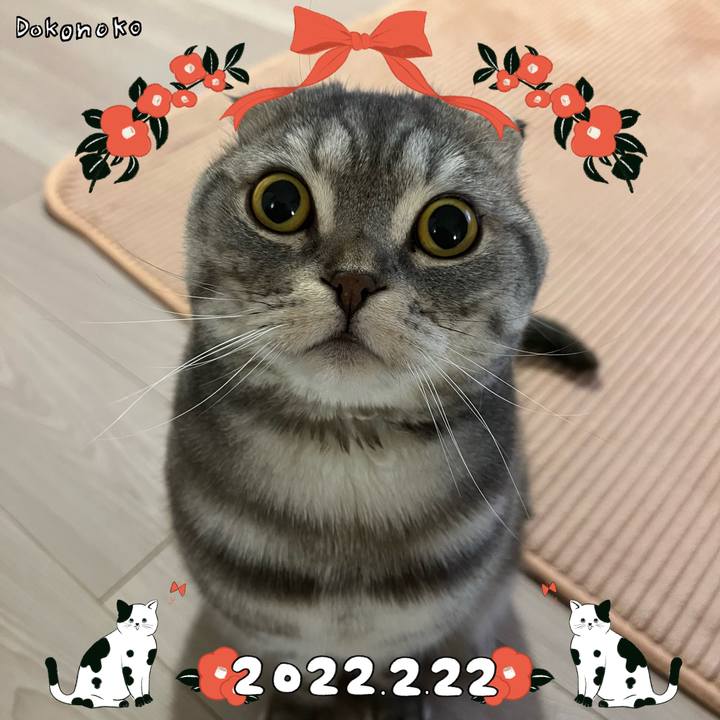 72e0fea6 8c51 4f6a 8e72 4ee07a535a3e 1645494240316