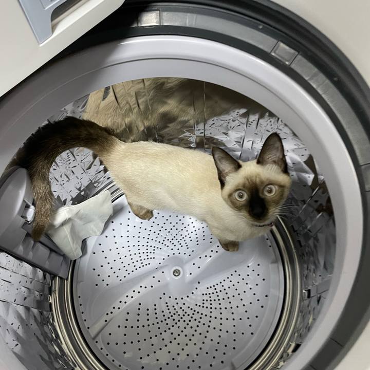 72e16ea2 7b7b 4fff 860d e4e5ea7e4108 1696017977938