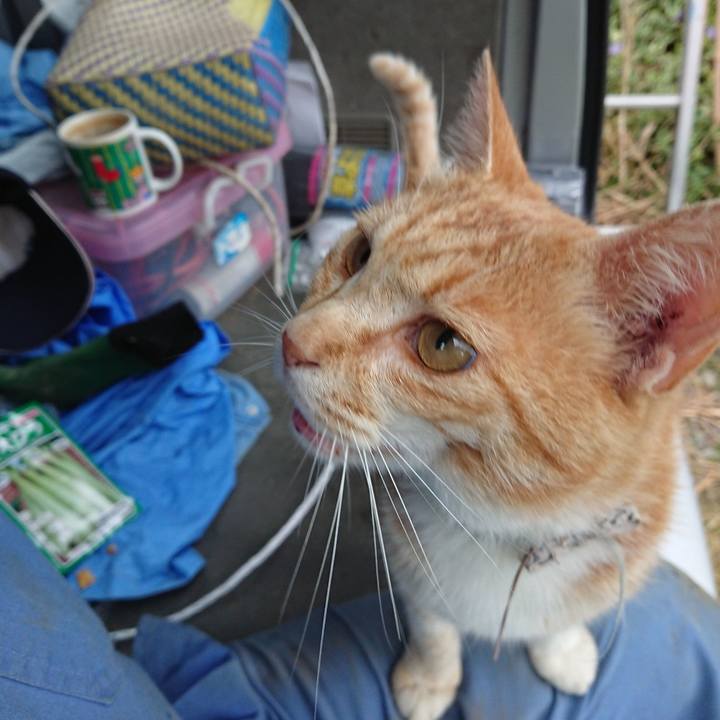 72e18a01 ada1 46f6 b600 c2b2ce87f3e6 1590440762222