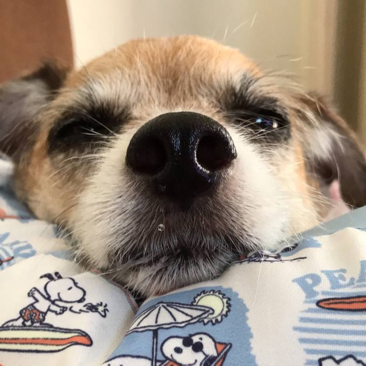 72e1bcd5 2cb2 465d bb75 da65fc327d0a 1599541509460