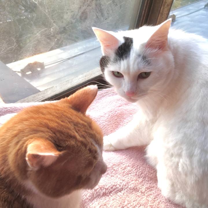 72e1f1c5 406f 47a0 81c3 7d0e604d248e 1575860634190