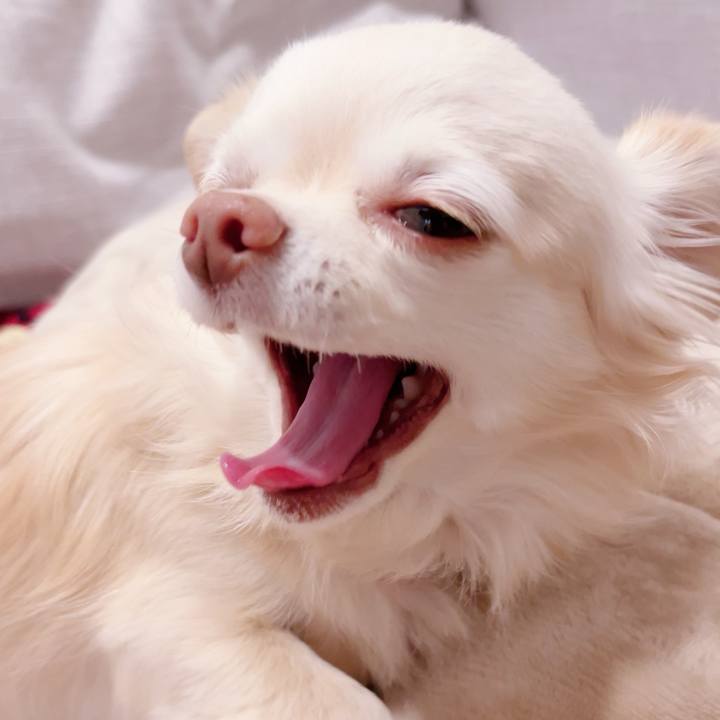 72e1fc0b e850 4487 b202 a4809d639ee7 1703414479447