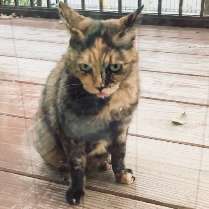 72e20a40 bf18 47f0 a86e 3c37c273e66c 1730627068138