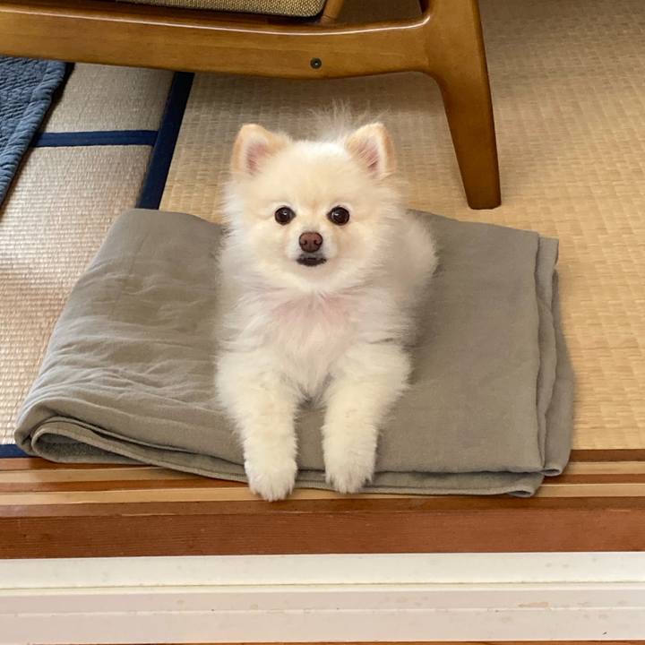 72e2ab1b d73e 415d b183 8ac559ea0d8c 1656319165450