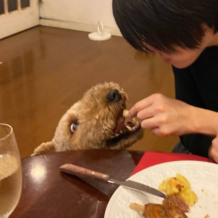 72e2b5ad 2e5f 409c 9cbf 8d55d6fca2dc 1577194766343