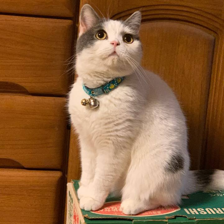 72e2dd16 13d8 4b19 a331 3f0746fb0cd0 1646128488464