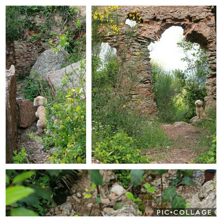 72e2e723 f9f4 4f1a a0ab f9e5051eeadf 1592508182401