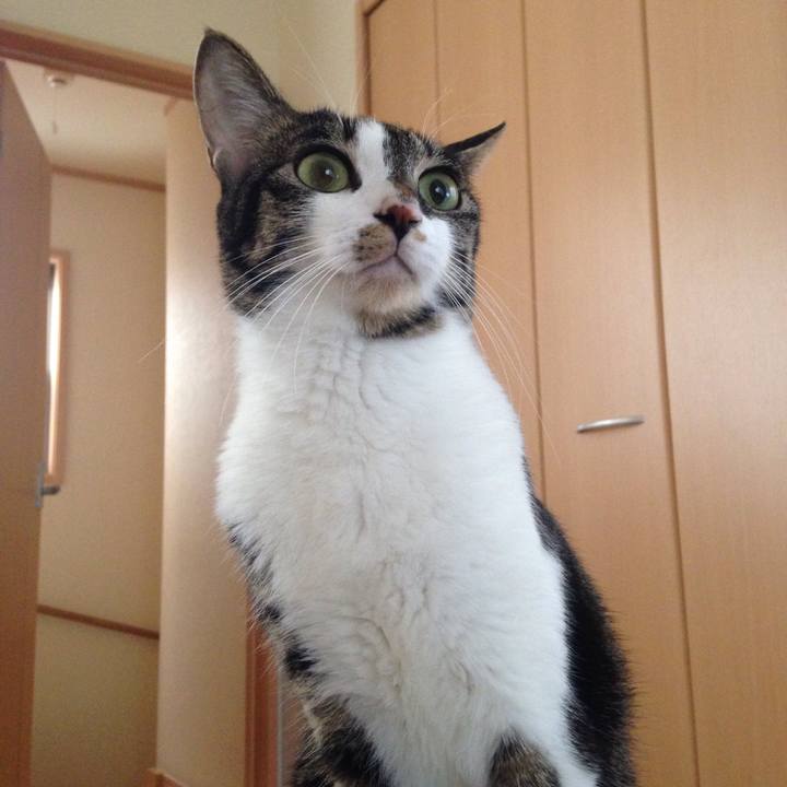 72e322ce bd55 4f18 ad7e a04255796879 1510714839487