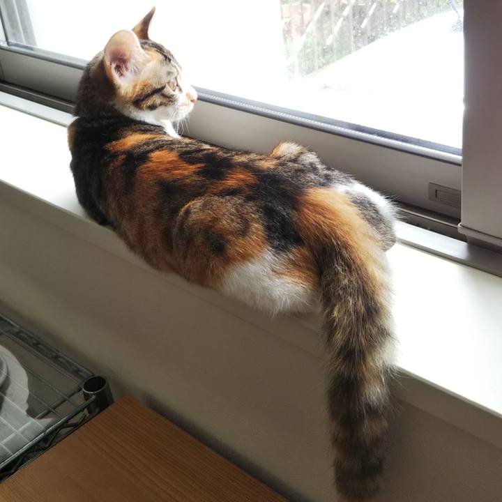 72e3256d be42 47fe a9eb 36aa1dd182d3 1629504030047