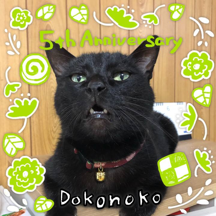 72e34a61 6bf9 4f20 97f9 6ad545b1053b 1622972156418