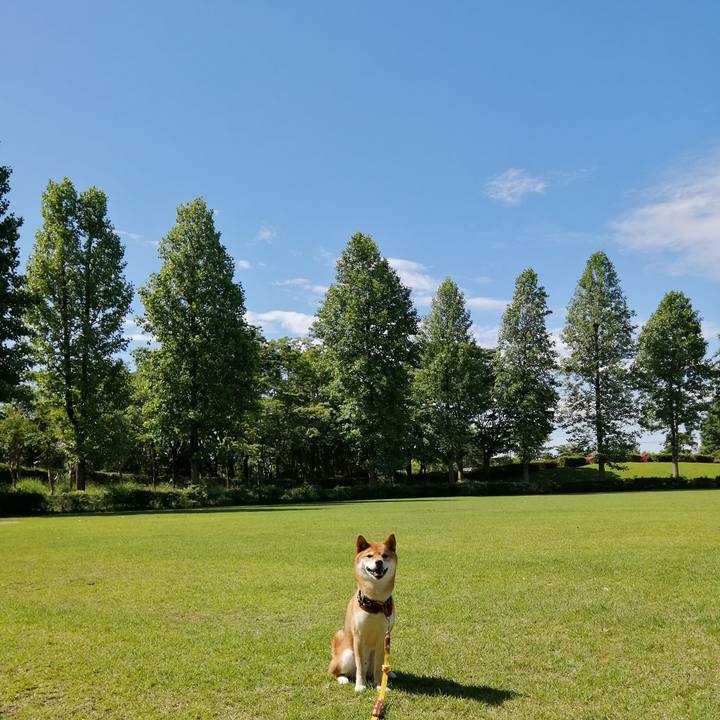 72e373b3 da7c 4d90 a468 a224ad626f9e 1591921186122