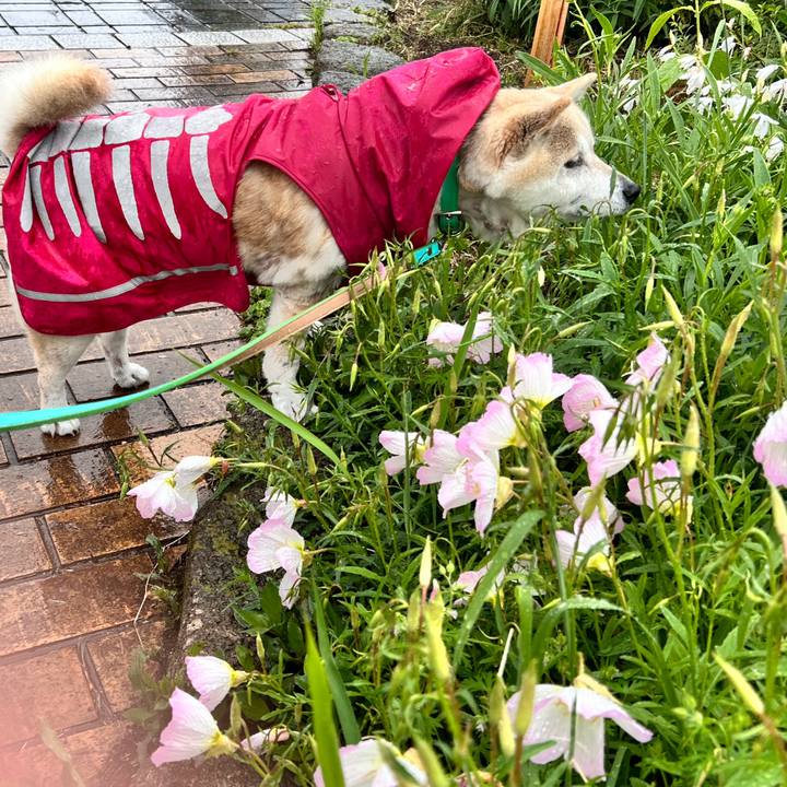 72e38817 6737 4d3f 822c 264a79fd0248 1746168359113