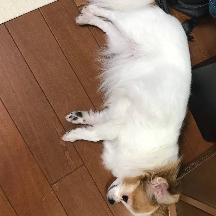 72e38b54 8c07 45bc b569 7a747bc20b66 1567945068604