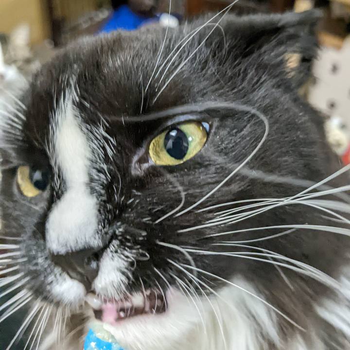 72e3acac b49a 4955 8384 c00828114742 1669460678043