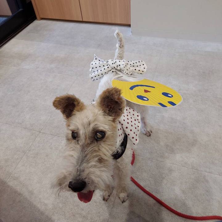 72e3d75d a8bf 45c7 a819 b9016a8e6c3b 1626519786611