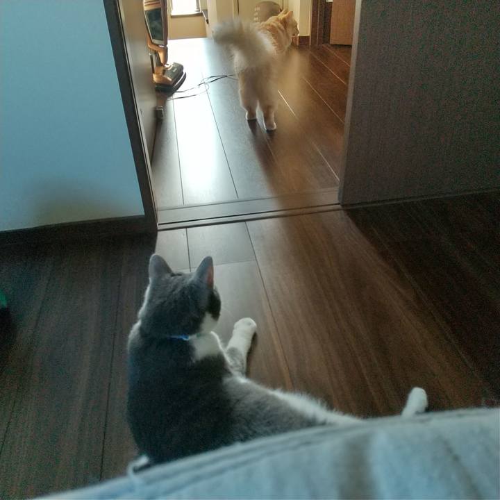 72e3f2b9 6f11 4cfb b311 96f4e8166f4b 1632007938685