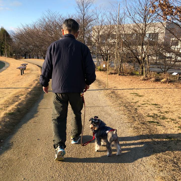 72e41679 e6df 4be5 84ae 613a65d74932 1577973368538