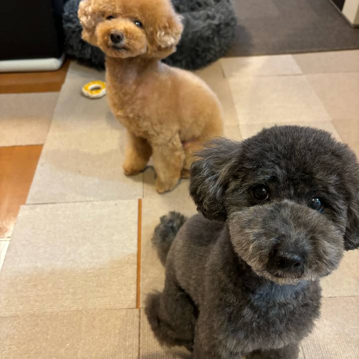 72e41703 ccb4 4457 98b8 27d0a91946ab 1708945055864