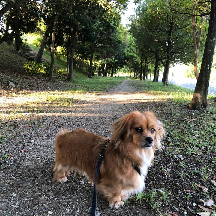 72e41fec ccb6 4b99 a295 087d4da5e04a 1525485171913