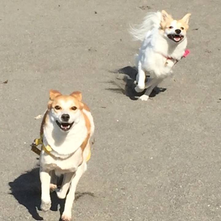 72e4333d 0e37 4f89 a043 8c22a2260e44 1511870335925