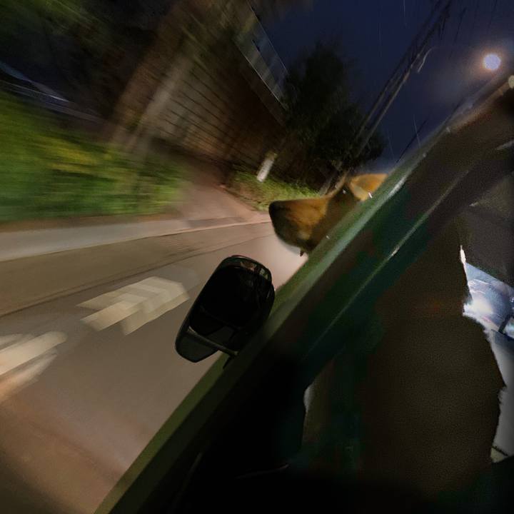 72e445d8 3f8c 4a3c 9397 23cc8037feac 1562409758131