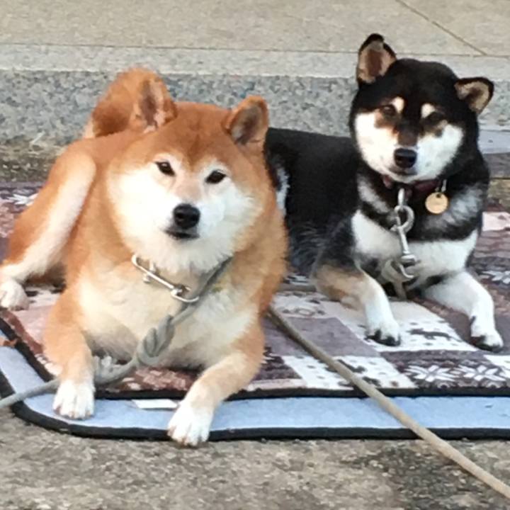 72e468ef fb70 4d61 a980 bfd5c8467153 1632135078271