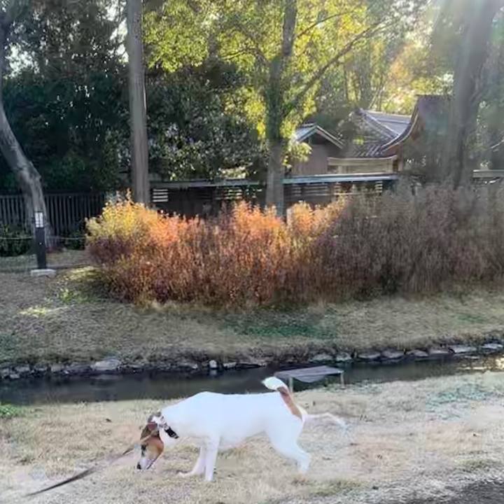 72e48485 72c4 4290 a35e fdbb2043b5d2 1546083283461