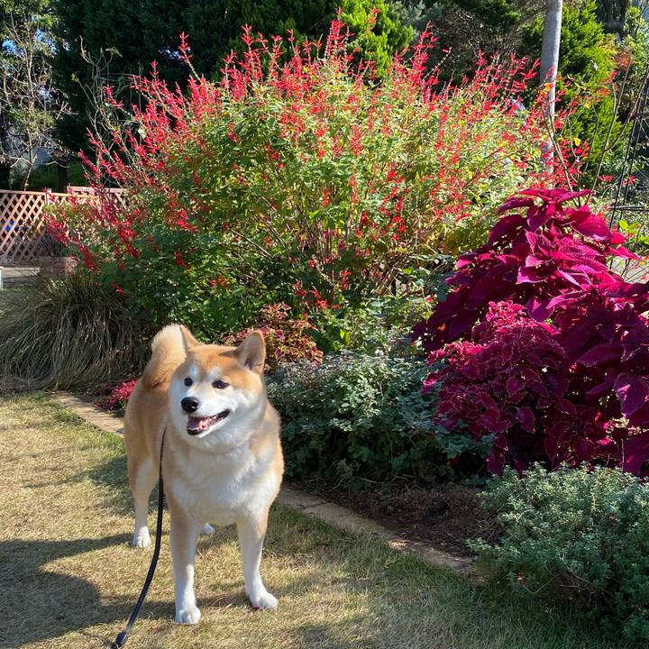 72e4b466 5858 4381 971a c5be82656e3b 1605337851442