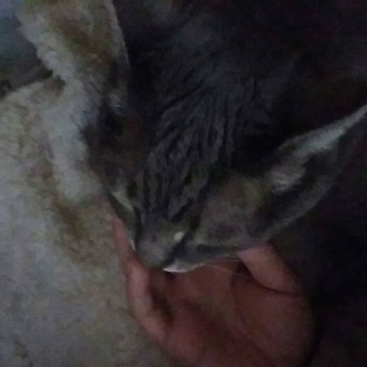 72e4cdd8 cb41 428e 9154 8423afa78f86 1550806328057