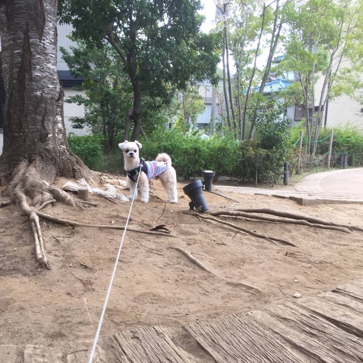 72e4f313 87fd 47ea 9877 f23b7322c04d 1553928006832