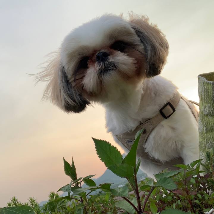 72e539b4 0bb8 4b06 9d1c 12122747f9d0 1655460681201