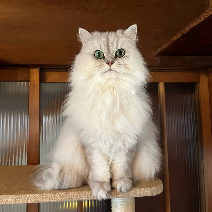 72e5781c fc8a 4e83 8caf 2c4a81138aa5 1637040582870