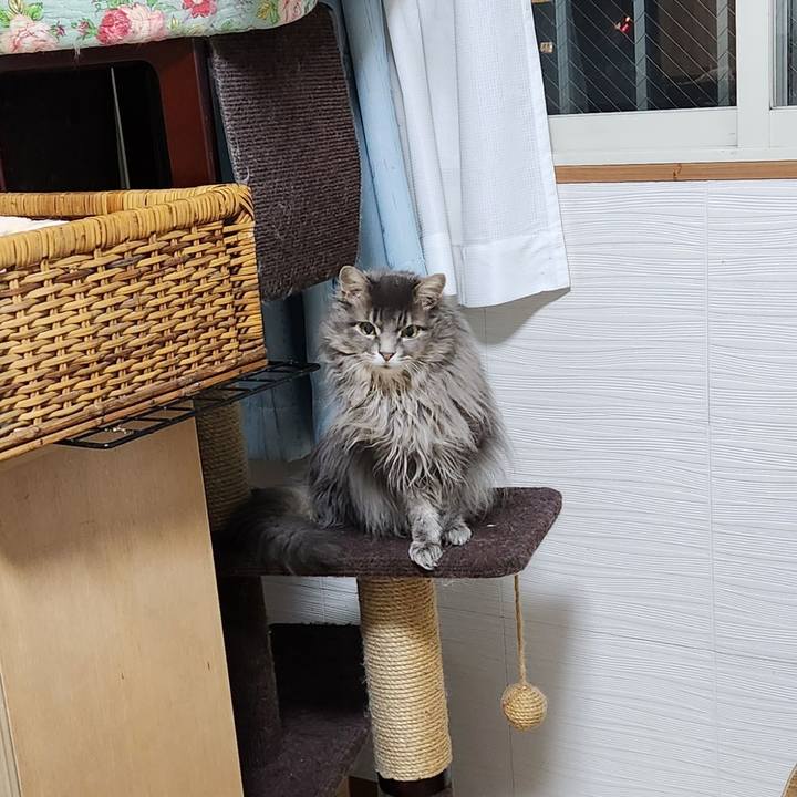 72e58c6f 0614 49d7 83f7 ba7d6864c321 1709556584265