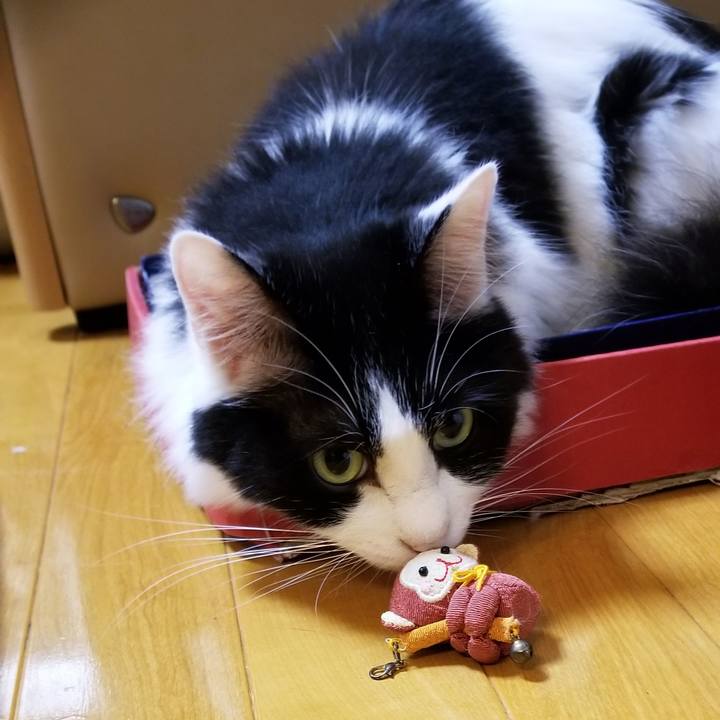 72e5ab79 b63a 459c a542 b7250c78453a 1593526252856