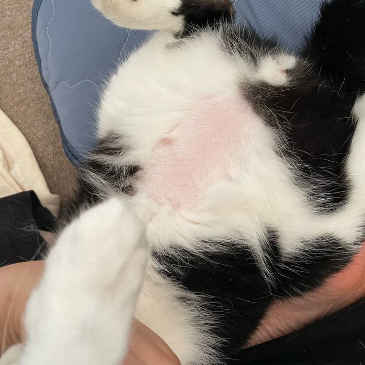 72e5bcae 4c27 4abd 8d2f 26029fc1d80e 1722147964421