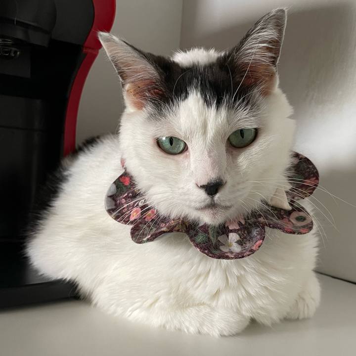 72e5ec6f 4a77 4eb1 bcd8 eb2624589578 1687577651251