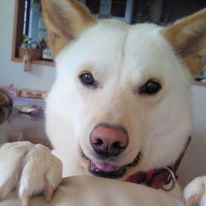 72e60c71 851c 45ad b79b 69731a118c7a 1535712841740