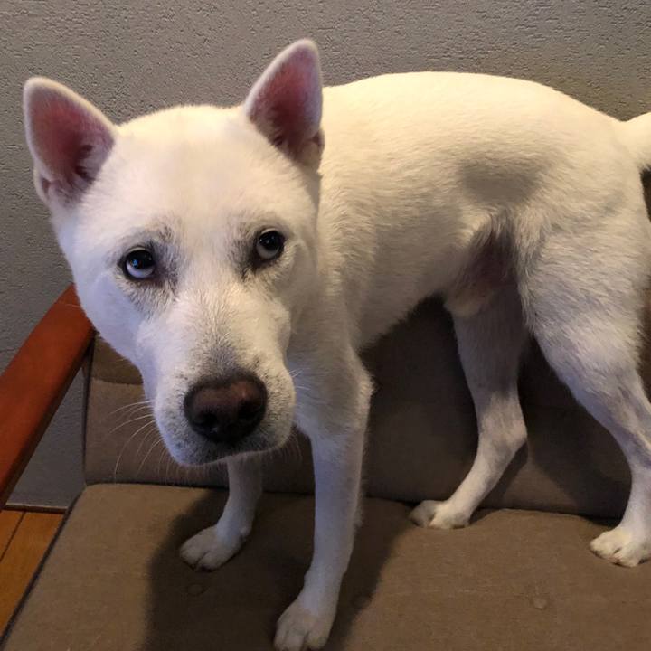 72e60dab 44b9 41ab 9eab 6ed7f04ef70b 1600506748344