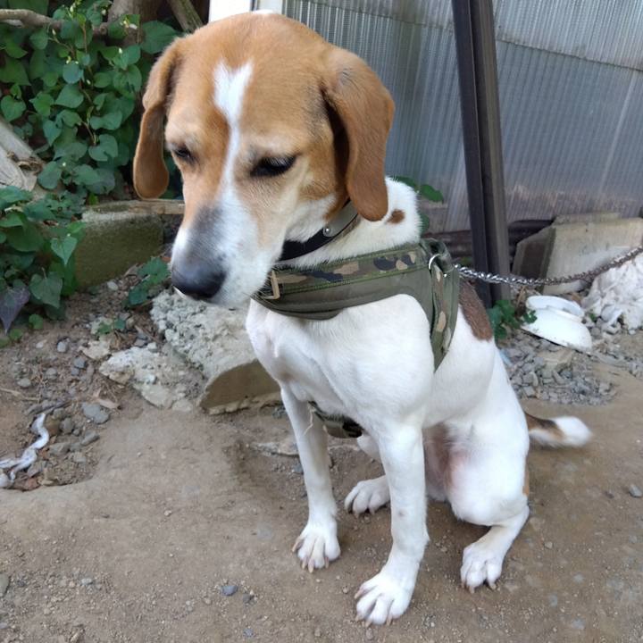 72e614c9 2646 444a 8c28 268ba4ba8823 1685018009534