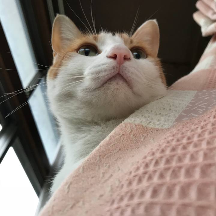 72e645db dd99 4e8a 84d1 55b83aba9229 1508482896434