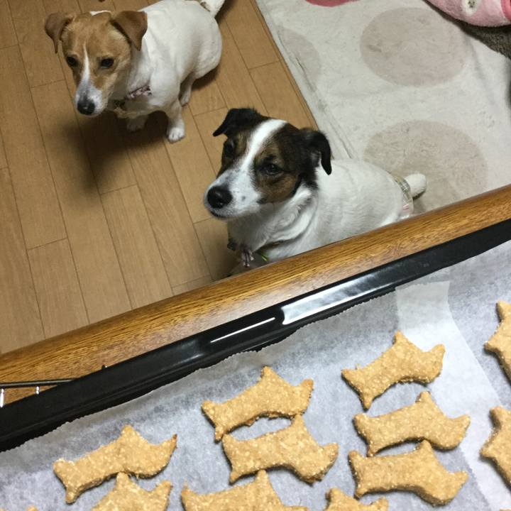 72e661be d57b 49e1 9eb5 e5845b4919fd 1549431987538