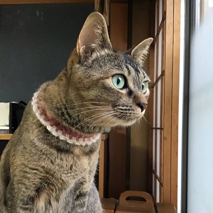 72e67576 1bd5 43e7 9b44 b72401b1a4a5 1655370758273