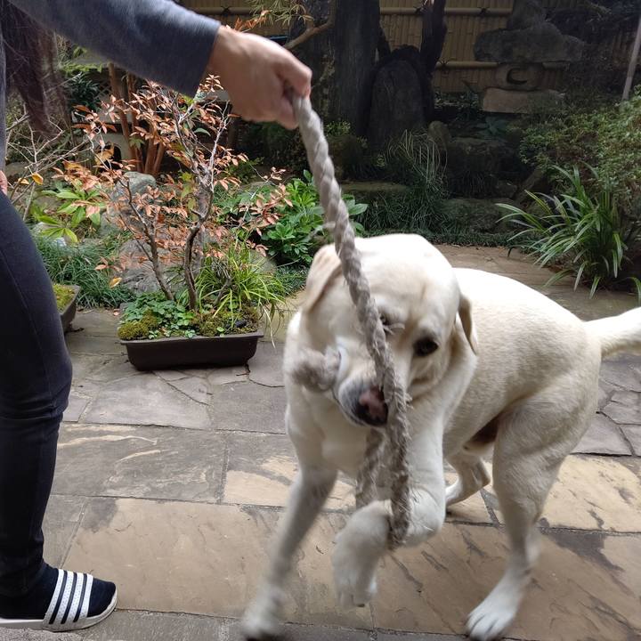 72e68834 1990 4423 9ccb 3e5ce51f0e61 1668919199291