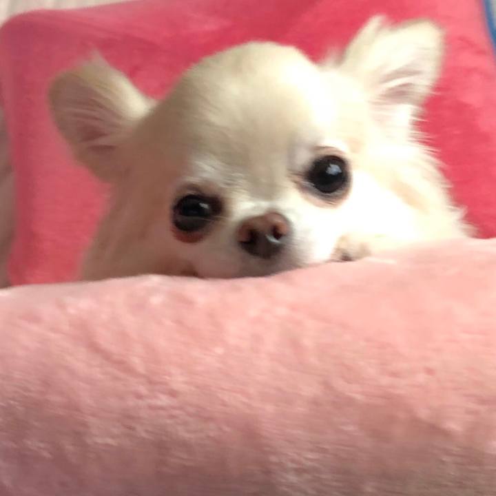 72e6a22d 5c9c 4cbb 866c 2d2d003d17e4 1532572845982