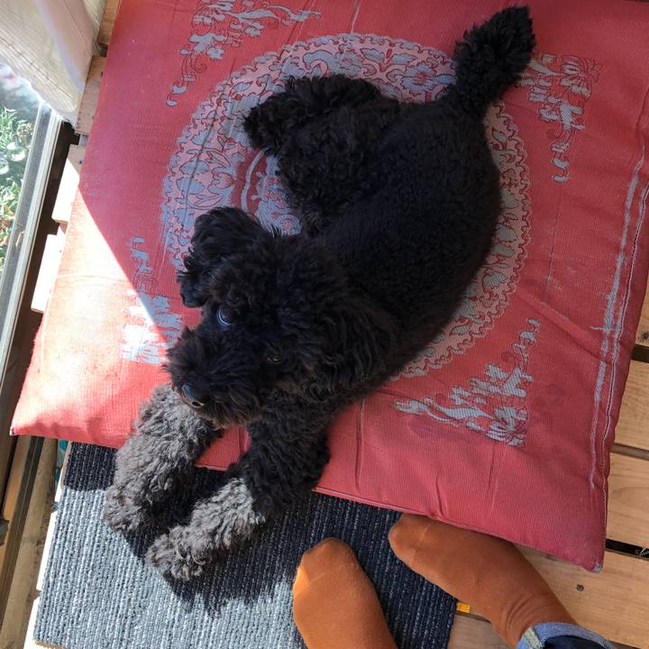 72e6b1a9 295f 49e4 bf74 46b9529a39a9 1546054251415