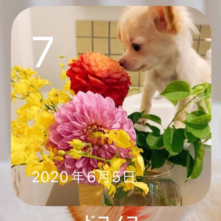 72e6d452 3534 43bc 890d d73b173b5a28 1654554705368