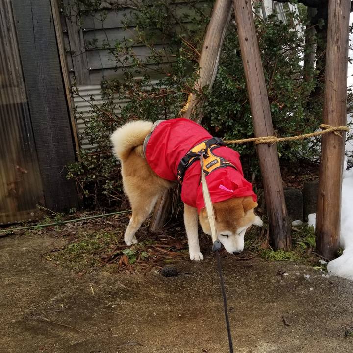 72e6de9a 19a5 4424 8006 b207dc66caae 1647926402771