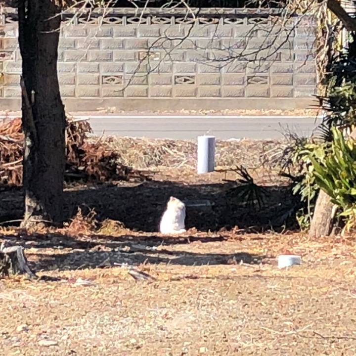 72e6f001 3d93 487d 8215 c5c974b91985 1550379601950